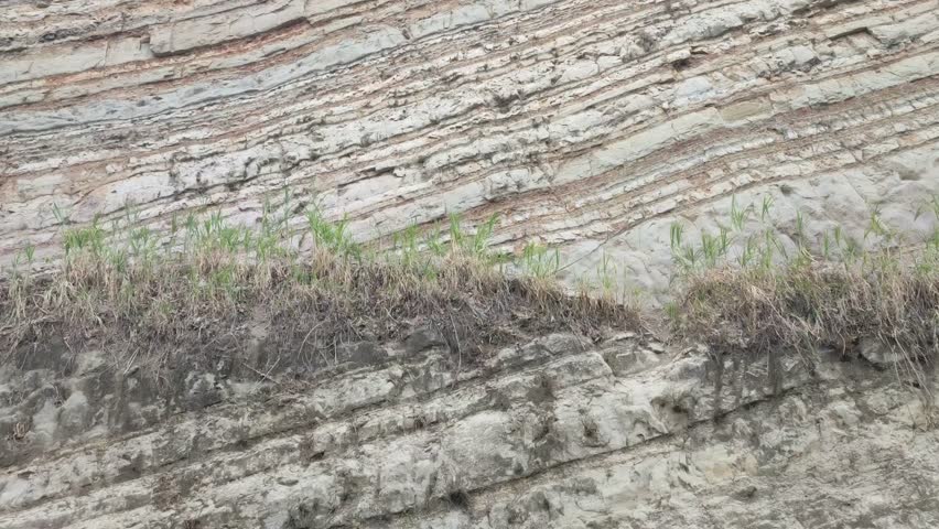 a section of a hill where the soil layer is visible