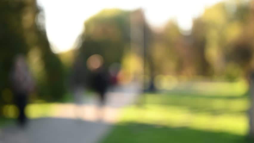  autumn park sunlight defocused background