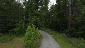 Unpaved Road Through The Forest Along The Towering Trees. - aerial ascend shot - Powered by Shutterstock - Get 15% off with code: PIKWIZARD15
