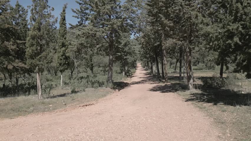 Arroyomolinos, green landscape of hills, path between trees
