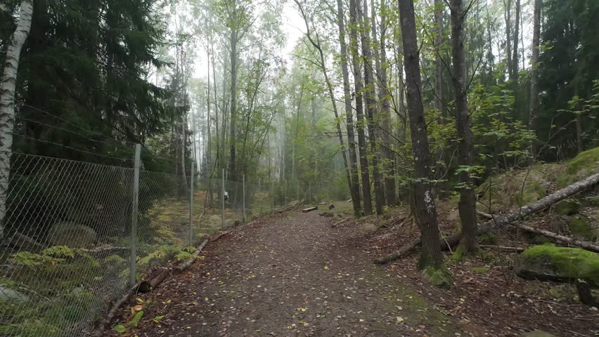 Panning over a dog park
