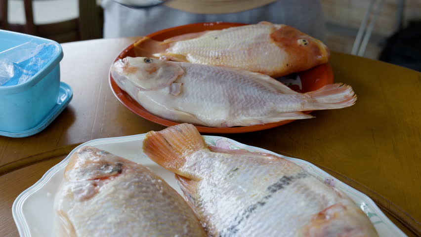 Preparing Salt Crusted Fish For Roasting, Cook layers salt crusted fish with fresh spices, set for roasting in a cozy kitchen, ideal for a heartwarming cooking movie or a savory seafood promo.