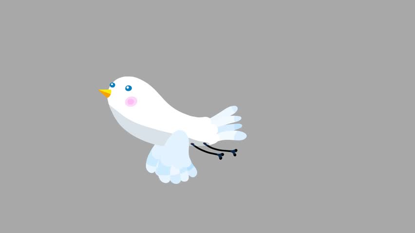 Bird white cartoon animation character flight and stop isolated. Cute animal moves behaviour will bring to life any scene.
