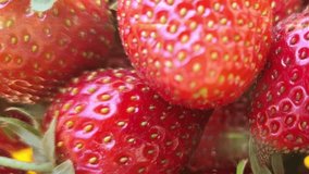 A brightly colored abstract animation of a futuristic spiral vortex with sparkling light effects. This modern, dynamic, and creative concept is perfect for a technology or digital art video background - Powered by Shutterstock - Get 15% off with code: PIKWIZARD15