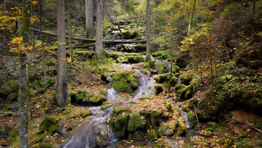 Calm forest scene with camera moving slowly toward waterfall and moss-covered rocks under golden autumn light