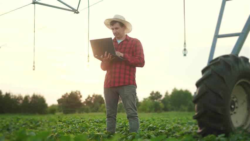 A farmer works on a laptop in a soybean field. Farm crop soy concept. Soybeans in a field of irrigation in agriculture. Farmer working on irrigation in a lifestyle field of soybeans.