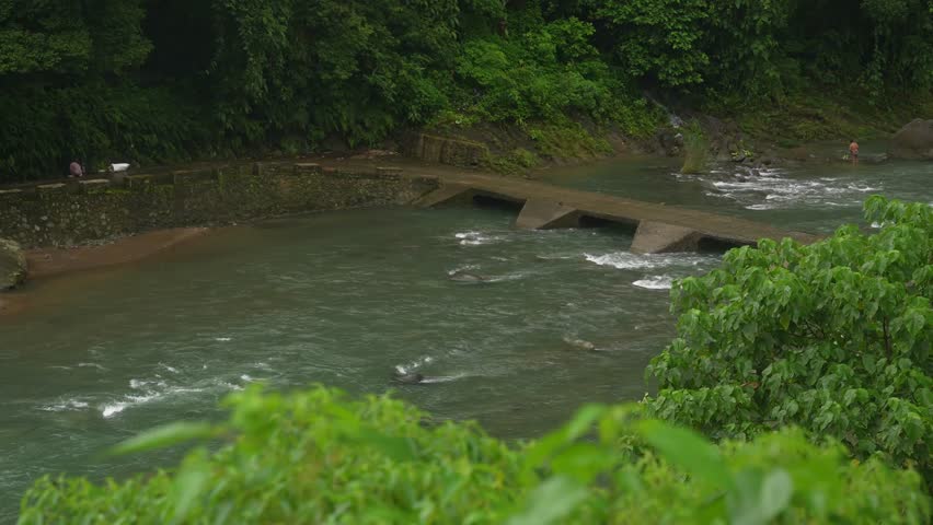 Framed from a riverside angle, a tranquil Philippine river flows past a concrete weir, with forested banks and misty mountain air blending natural beauty and rural engineering.