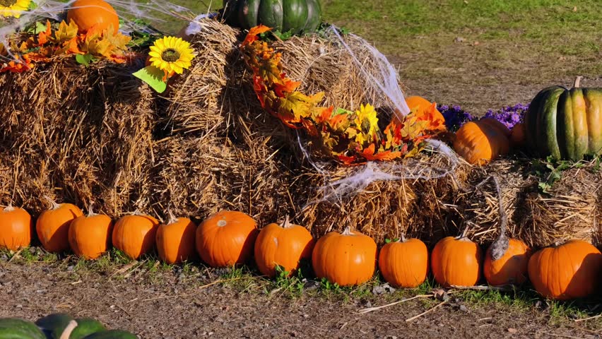 Vibrant Autumn Pumpkin Display with Hay Bales, Sunflowers, and Cobwebs in Rustic Farm Setting - 4K Video for Halloween Marketing and Seasonal Decor