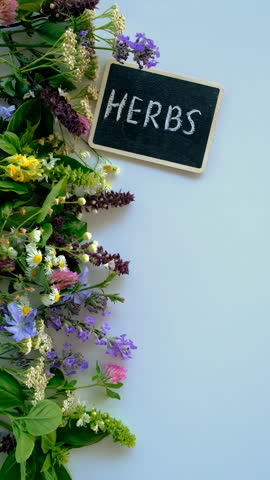 Various medicinal herbs on a white background. Selective focus.