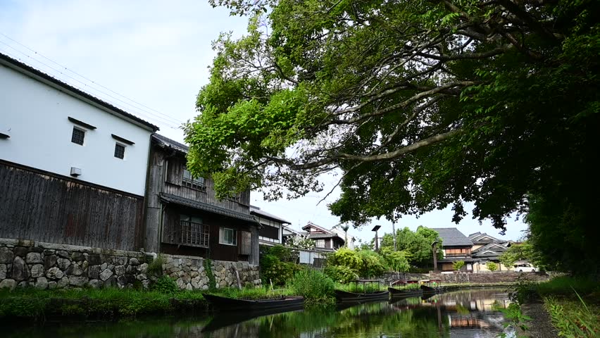 Hachiman-bori canal on a summer morning (Omihachiman, Shiga, 2025, Aug.)