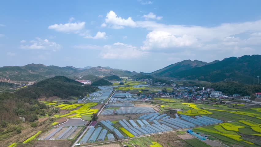 Aerial view of agricultural valley with greenhouse sheds, yellow flowering fields, and mountain landscape during spring planting season in rural farming community