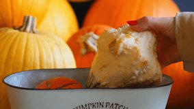 Autumn pumpkin patch with ripe pumpkins on rustic countryside farm field.Colorful pumpkin patch at festive fall festival in October - Powered by Shutterstock - Get 15% off with code: PIKWIZARD15