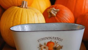 Autumn pumpkin patch with ripe pumpkins on rustic countryside farm field.Colorful pumpkin patch at festive fall festival in October - Powered by Shutterstock - Get 15% off with code: PIKWIZARD15