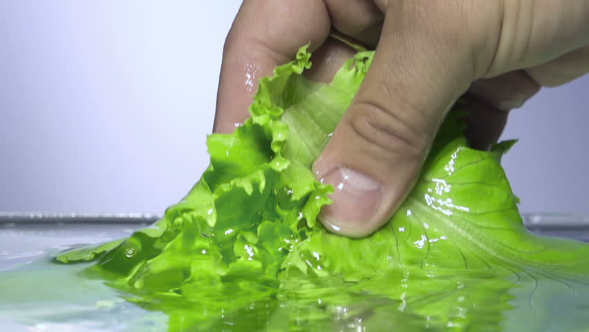 Fresh lettuce salad falls under water with a splash.