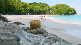 Coconut water drink with a straw on a rock by tropical beach with turquoise water and palm trees in Phuket island, Thailand. Refreshment summer drink on Freedom beach - Powered by Shutterstock - Get 15% off with code: PIKWIZARD15
