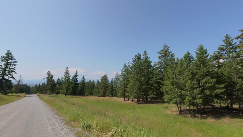 Drive on a Gravel Forest Road in Rural Montana on a Clear Summer Day