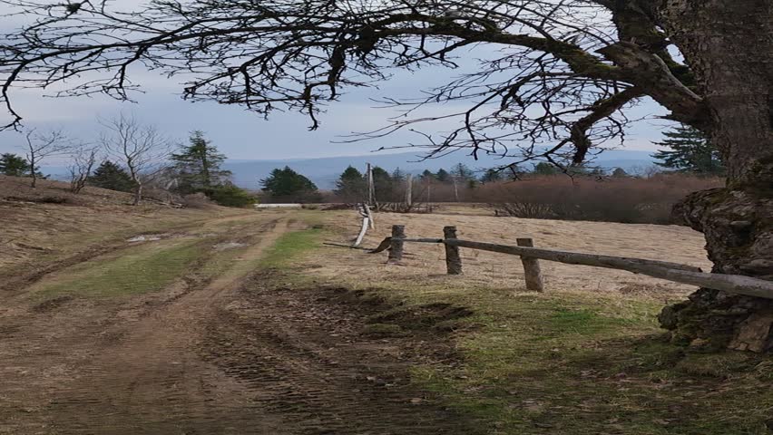 A time-lapse video panning across a weathered old tree, a rough wooden fence, and a dry pasture with a distant view of forested hills and mountains under an overcast sky in early spring