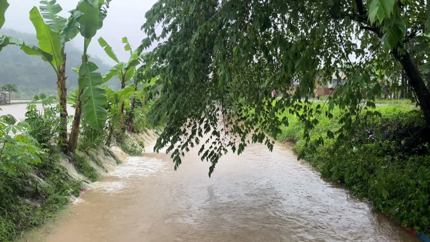 a flooded canal surrounded by green trees and plants during a light rain, showing the rising brown water flow caused by heavy rainfall in a rural area