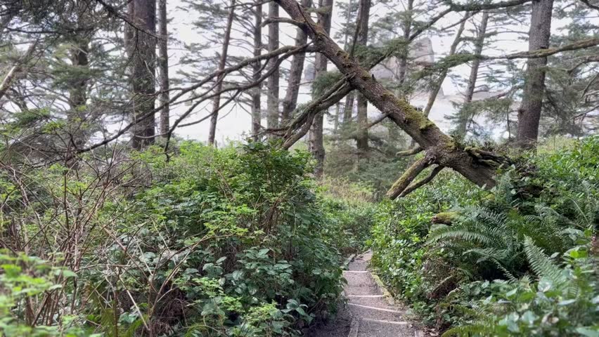 Trail Stairs Leading Onto Second Beach - Hiking Trails - ‎⁨Olympic National Park⁩, ⁨Washington⁩, ⁨United States⁩: April 26, 2023