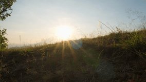 Low angle wide shot of a grassy hilltop glowing in the warm golden sunlight. A beautiful sunrise creates a bright sunburst and natural lens flare over the landscape in Indonesia. - Powered by Shutterstock - Get 15% off with code: PIKWIZARD15