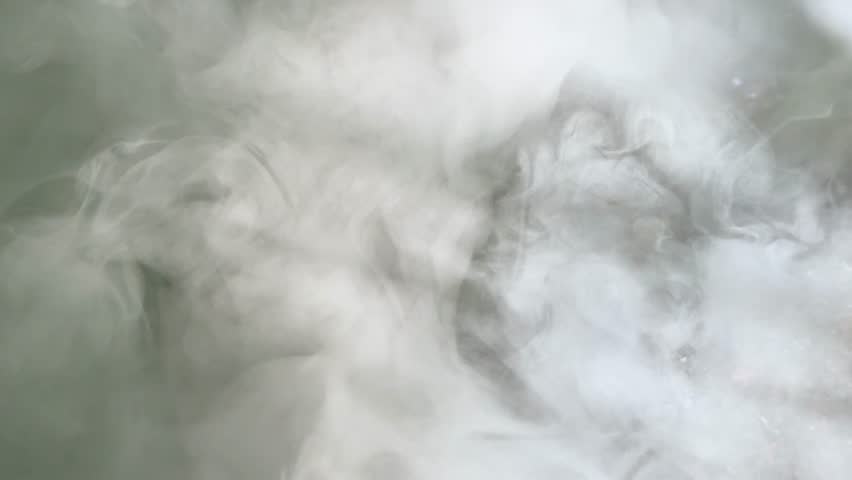 Thick mist swirls through a natural park, creating a tranquil, ethereal atmosphere outdoors