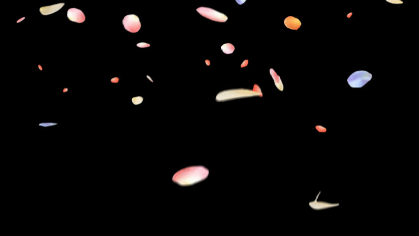 Rose petals falling can be used in various things, visual effects, motion graphics, logo reveals. It already has an alpha channel (transparent background) Black Background.