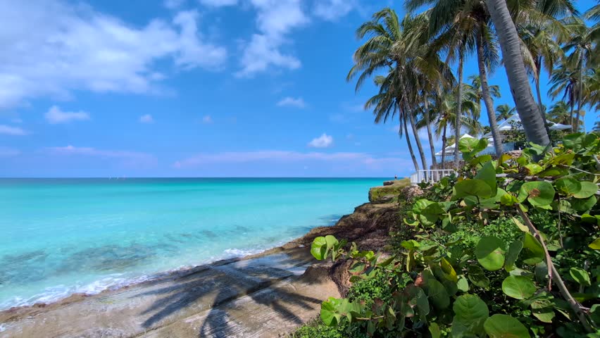 Tropical Caribbean beach with palm trees and blue water