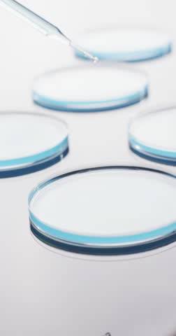 Vertical video of laboratory pipette and round glass dishes with copy space on white background. Science, research and chemistry concept.