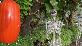 A shot of walking towards a skeleton hanging from a tree as a Halloween decoration. - Powered by Shutterstock - Get 15% off with code: PIKWIZARD15