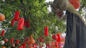Creepy skeleton hanging from a tree during the day, The Halloween decorations. - Powered by Shutterstock - Get 15% off with code: PIKWIZARD15