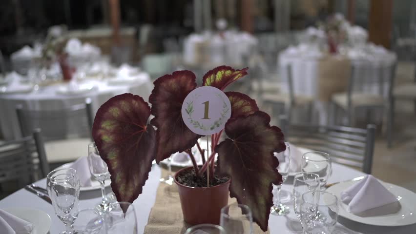 Parallax shot orbits wedding reception table number 1 featuring a potted begonia centerpiece white place settings and burlap runner