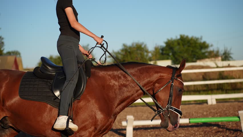 Rider trains in outdoor arena for dressage on horse. Outdoor riding training, teenage girl wearing racing helmet sits on horse and in saddle, practicing galloping. Concepts of racing and pet training