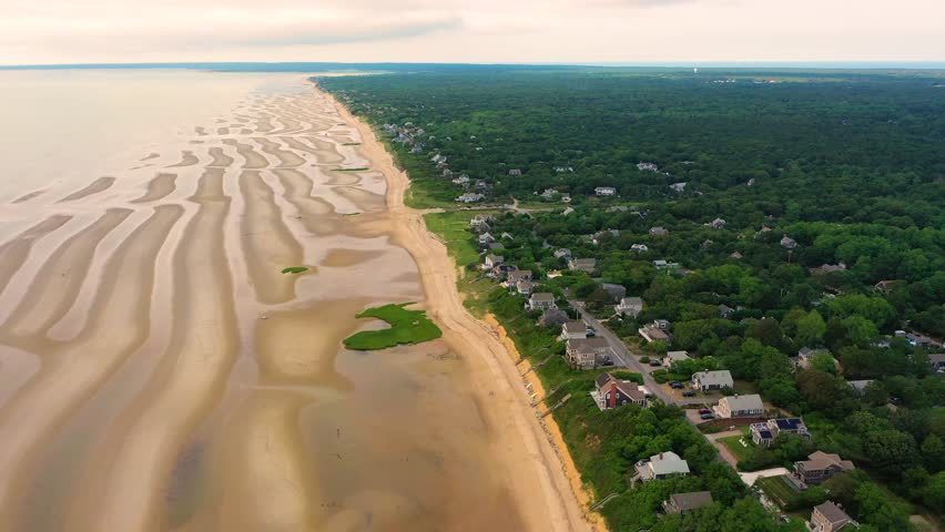 Nantucket beach houses line the coast as tide recedes, exposing rippled sand formations and reflective pools of seawater, with expansive tidal flats framed by dense forest and patches of dune grass.
