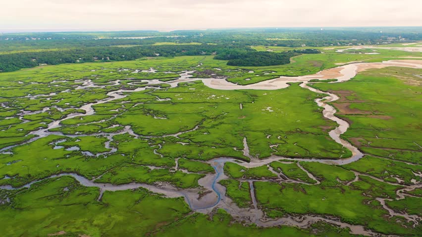 Drone video of Cape Cod marsh captures sandy inlets, reflective pools, and winding creeks cutting through lush grasses, offering a cinematic coastal perspective shaped by natural tides.