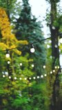 Warm glowing string lights illuminate a lush green garden with trees and foliage outdoors - Powered by Shutterstock - Get 15% off with code: PIKWIZARD15