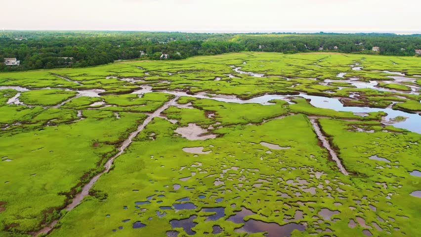 Drone footage of Maine coastal marsh reveals weaving tidal channels, bright green grasses, and sandy banks with patches of reflective water, capturing the wild and unspoiled beauty of the coast.