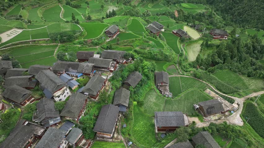 Aerial view of houses nestled among vibrant green rice terraces, creating a stunning contrast, Longtang Village, Guizhou, China.