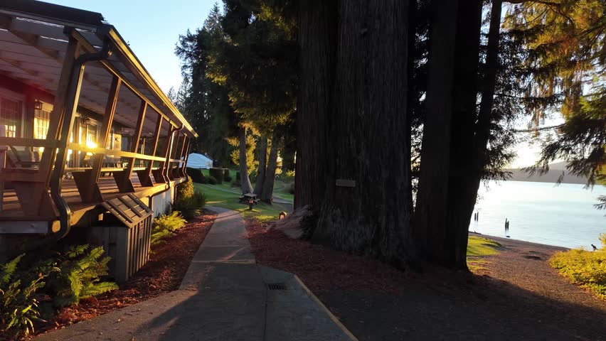 4K smooth stabilized footage of sunset at Quinault Lake in Olympic National Park, USA,showing golden light over calm water, shoreline trees with autumn colors, peaceful reflections on the lake surface