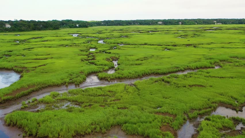Aerial drone perspective shows expansive marshes filled with tidal flats, green vegetation, and meandering waterways that stretch across the horizon, forming intricate natural designs.