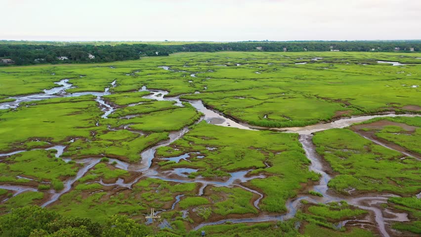 Drone footage of Nantucket coastal marsh highlights tidal pools, saltwater channels, and green wetlands, creating a rich coastal environment shaped by tides and natural waterways.