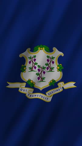 Connecticut flag waving in the breeze during a patriotic event