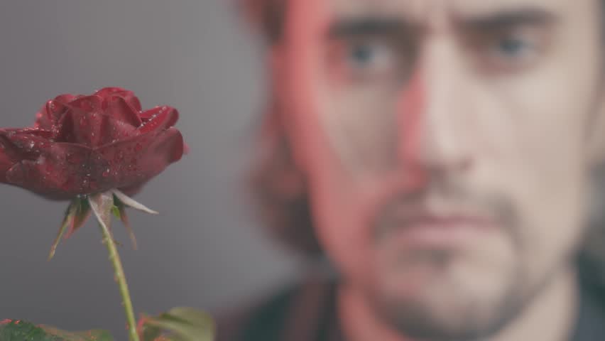 Close-Up of Striking Red Rose with Water Droplets and Serious Contemplative Man in Gray Background Reflecting on Love and Loss