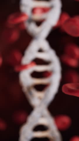 Red blood cells and biological DNA with medical concept, 3d rendering. Motion Graphic.