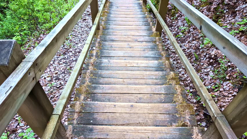 Wooden forest stairs with railings over lush green trail during summer hike