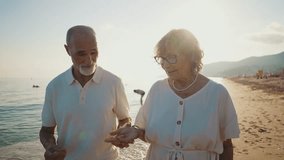 Happy senior couple walking hand in hand along the seashore at sunset, the woman showing the man a beautiful seashell she found, enjoying their retirement and creating romantic memories together - Powered by Shutterstock - Get 15% off with code: PIKWIZARD15