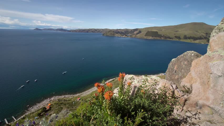 Titicaca lake view from Isla del Sol with orange flowers and rocky coastline view
