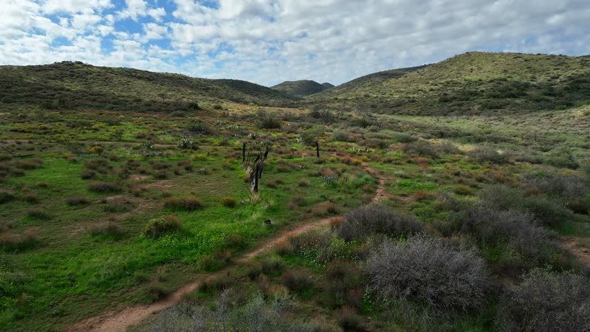 Aerial view of a rugged desert landscape with rolling hills, vibrant green patches, and diverse vegetation under a sky with scattered clouds, Scottsdale, Arizona, United States.