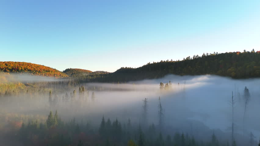 Aerial view of autumn forest and mountains in vivid colors with morning fog in Mauricie, Quebec, Canada. Soft sunlight illuminates the colorful foliage over peaceful wilderness.