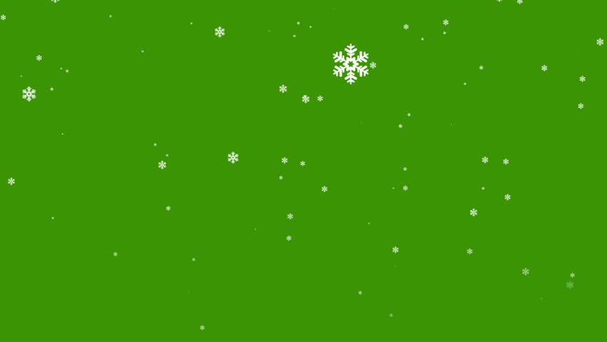 Snow Particle on Black Background | Falling Winter Animation