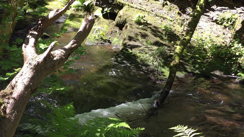 The Auldhouse Burn is a river that flows through Rouken Glen Park, Scotland, UK. creating a wild, forested glen with paths, a double waterfall, a network of Glen Walks. Water was used to power mills. 